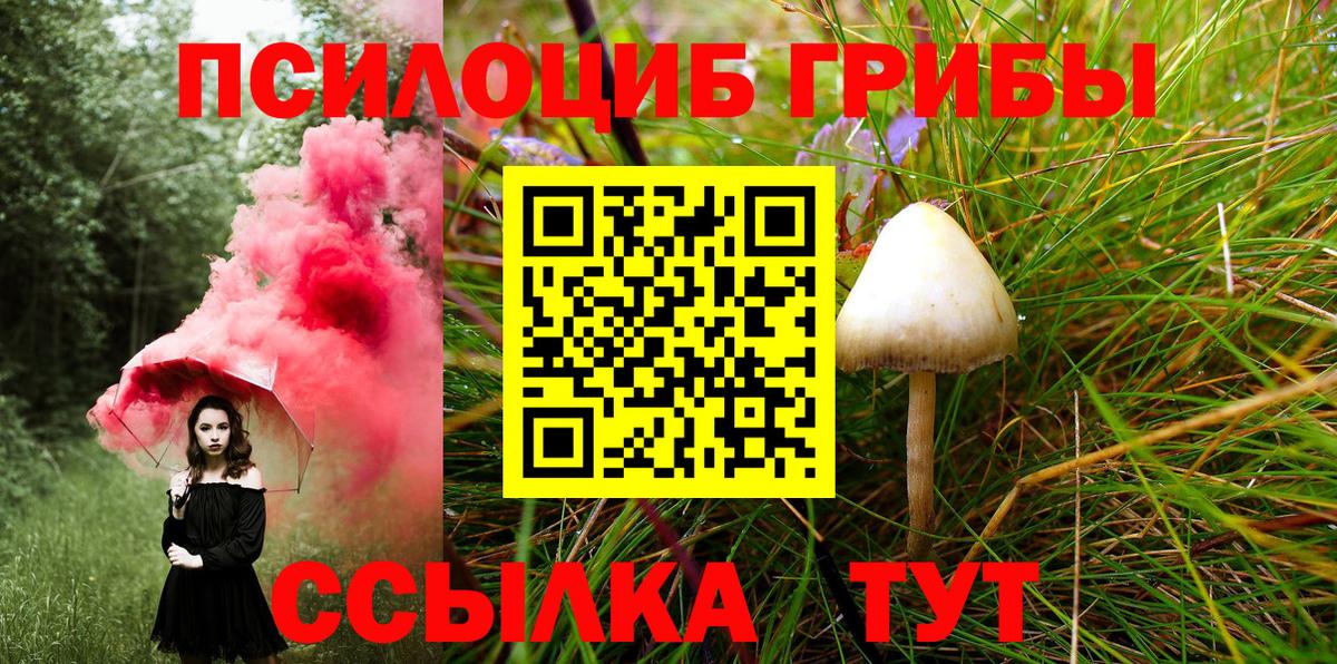 Галлюциногенные грибы Cubensis  Вход с VPN  Алексин 